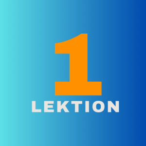 LEKTION  1 – PERSÖNLICHE VORAUSSETZUNGEN / RISIKOFAKTOR MENSCH
